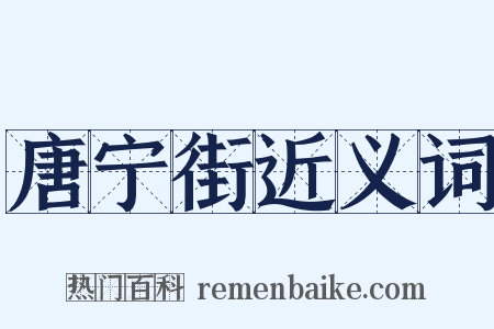 唐宁街近义词是什么意思的图片